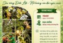 Lễ hội sầu riêng Đắk Lắk 2026 : Triển lãm ảnh nghệ thuật – Sầu riêng Đắk Lắk – Nữ hoàng của đại ngàn xanh.